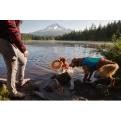 Ruffwear Hydro Plane™ Spielzeug M Orange 12 Ruffwear Hydro Plane™ Spielzeug M Orange -Zoofachgeschäft 006b8682fcf44b40a786d55bd2f1d1cf7f91a7a7 1364300 de DE b9c71d828876a94633bfda1055d03e137f81043ehPprdP