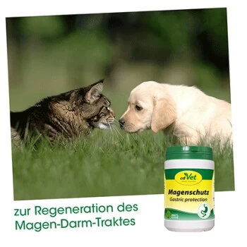 CdVet Magenschutz 100 G 4 CdVet Magenschutz 100 G – Bild 2