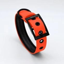 THE DOG IDEA Biothane Halsband Orange Neon Orange M 10 THE DOG IDEA Biothane Halsband Orange Neon Orange M -Zoofachgeschäft 01a9a3da6a1cfd60572716e4f5b2942e18f98a80 1481072 de DE b30fbbbe19050e731d3d231c3b071392c6ab650bAgpq70