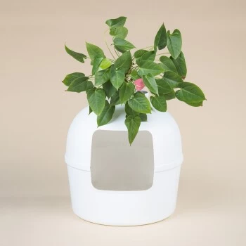 RHR Quality Katzentoilette Flower XXL 6 RHR Quality Katzentoilette Flower XXL – Bild 4