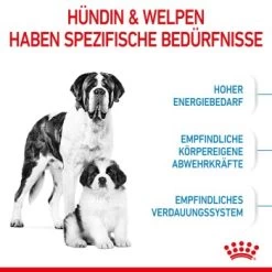 ROYAL CANIN Giant Starter 15kg -Zoofachgeschäft 04dba5b27937fabea6cdab520dec33c0ee4cbbf8 3182550778831 4