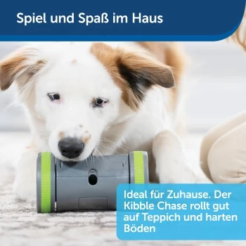 PetSafe Selbstbewegendes Belohnungsspielzeug Kibble Chase 8 PetSafe Selbstbewegendes Belohnungsspielzeug Kibble Chase – Bild 6