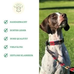 Kipita Polo Hundeleine Classic -Zoofachgeschäft 06c4280ca9f0f4d08f00ed0e586db0444f1c823b 1410955 de DE 3f24f27a92305e3175d49b5ce78d80f33ebe0dedEgP7aq