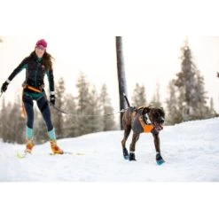 Ruffwear Cloud Chaser™ Hundejacke Schwarz XXS -Zoofachgeschäft 06cfa3a745821d84428a1de78da0089ce33c0271 1369623 de DE 87163fc3e147e303fdf97d4ab87fd720c4f34a96nSWmMF