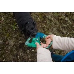 Ruffwear Pacific Ring™ Spielzeug Blau/ Türkis -Zoofachgeschäft 07365c8c03348a7be23ff66a31807695c41eac94 1444351 de DE bb2133baab48cb1d262b89fa47f175638eb3f7fcb9JpcH
