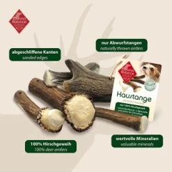 ChronoBalance Rothirsch Geweihstange Halbiert 200 G -Zoofachgeschäft 0927bf8736560706f0630950c837b43fcf59babf 1409523 de DE 902a389be4b99eb60431c66affbaefe4377d7689AivNxt