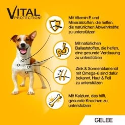 Pedigree Vital Multipack Portionsbeutel In Gelee 40x100g -Zoofachgeschäft 0a8a05cf3e2550b662c3b88d4eb3c20880e13f55 1280045 de DE 5900951267833 SI1 1