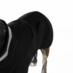 THE DOG IDEA Regenmantel Kayden Schwarz XXS -Zoofachgeschäft 0e01175cba853a87eaf04bc91048ff79a3427543 1681338 de DE 6ffe4ba43054e7f852d6b34c5aa2c03f7bf7dd45347g4M