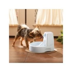 PetSafe Drinkwell Trinkbrunnen Original, 1,5 Liter 8 PetSafe Drinkwell Trinkbrunnen Original, 1,5 Liter -Zoofachgeschäft 0eafb4742dba6833f9a27c15a06f970e4cd3a735 e5e9d8abdbe4501019d4b3506e15c02aeff7b01c