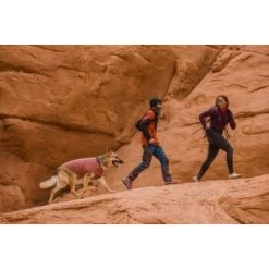 Ruffwear Hemp Hound™ Sweater Rosso M -Zoofachgeschäft 0f007e043307b4af121eddda3cbc9166357cc781 1639886 de DE 9d517e653a6756aea5aff487f1d4367033c9f0eco8wkkb