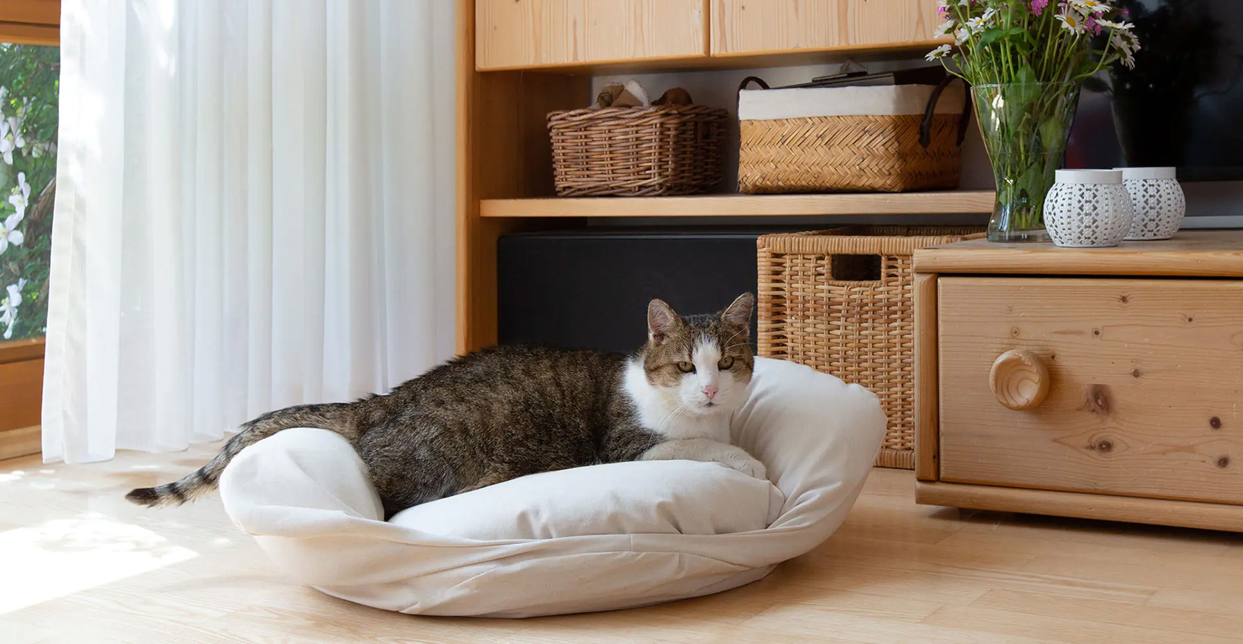 Zoofachgeschäft -Zoofachgeschäft 1