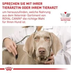 ROYAL CANIN Veterinary Dental 6 Kg -Zoofachgeschäft 16843fa032146fc66c5f1471f85011a53672ca20 1154390 de DE RC VET wb 6