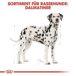 ROYAL CANIN Dalmatian Adult 12 Kg 12 ROYAL CANIN Dalmatian Adult 12 Kg -Zoofachgeschäft 16920604f9e9dcfee0ee13501016f0ddf85e9f26 39f146ce4f54c8f5642f1cc5e2cf52b8543b913b