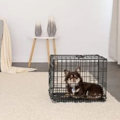 Lionto Hundetransportkäfig S -Zoofachgeschäft 16bf4a7bda8913bd8d6759c333b8462422c25930 1657954 de DE 88d7762950e447e6280dda9dcc577106888c533eyg5v9p