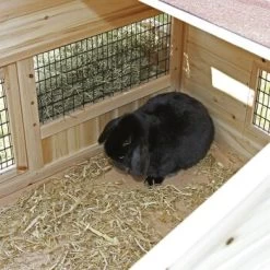 Kerbl Kleintierstall Tyrol Alpin -Zoofachgeschäft 171790ce081654b413a6450e70de4fcec8313490 9773502bb466235b647cc09752f73d4384b4818f