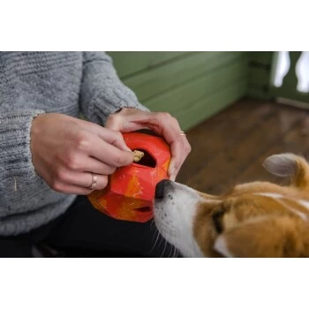 Ruffwear Gnawt-a-Rock™ Spielzeug Blau 9 Ruffwear Gnawt-a-Rock™ Spielzeug Blau – Bild 7