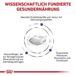 ROYAL CANIN Veterinary Dental 6 Kg -Zoofachgeschäft 19aec4add9f961a7e03c5ed6261d28e19682e7c4 1154390 de DE RC VET wb 3