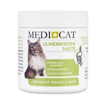 MediCat Ulmenrinde Paste 3 MediCat Ulmenrinde Paste