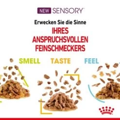 ROYAL CANIN SENSORY Taste In Gelee Für Wählerische Katzen 12x85g -Zoofachgeschäft 1a8e624aa43276ea107f2dcd4966cf147aa4f93f ac4c88b72144234bc5f222dd77d8979fd143e101