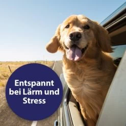 Canosept Beruhigungshalsband -Zoofachgeschäft 1ac9b64e0ecd7d1c0b279865b878e1aa11f3957f 1265538 de DE 7d047c673d73350f89c449776b08ddc027f40a6eMEIFia