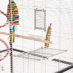 Montana Cages Voliere Paradiso 120 Hellgrau/ Dunkelgrau -Zoofachgeschäft 1c842f90892054aed2e7d5c892280c11e89fe74b 1200893 de DE 93edbe7d4f0e092dd8649cc255466a331806c29emAqrjU