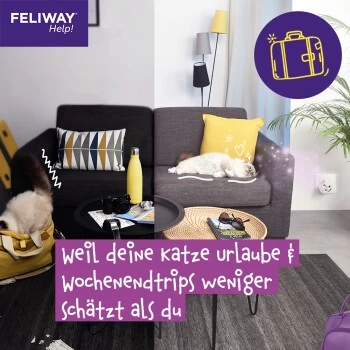 Feliway Help! 7 Tage Start-Set Zur Vorbeugung Von Stress 12 Feliway Help! 7 Tage Start-Set Zur Vorbeugung Von Stress – Bild 10