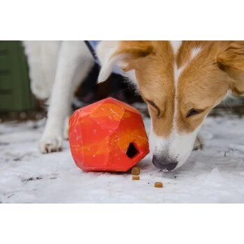 Ruffwear Gnawt-a-Rock™ Spielzeug Blau 10 Ruffwear Gnawt-a-Rock™ Spielzeug Blau – Bild 8