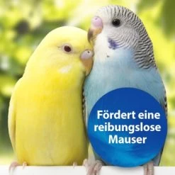 Quiko Biotin M 150 G: Unterstützt Die Mauser Von Ziervögeln 8 Quiko Biotin M 150 G: Unterstützt Die Mauser Von Ziervögeln -Zoofachgeschäft 1edb379122303e5bd6851c962595f5914d97ad79 1386532 de DE d423967889f663d8a9511c722121183787861b26YUo6R2