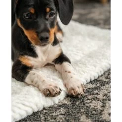 Lionto Wendedecke, Liegedecke Für Hunde & Katzen S -Zoofachgeschäft 1f70cef866b778b081a98b378a531b64d9215283 1657054 de DE a25e5e5240b190e57c5e1b4f2566e2b5a9d98b86SxzTFn