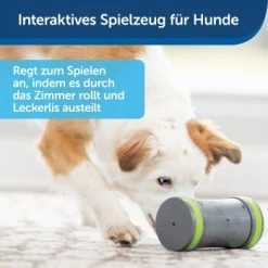 PetSafe Selbstbewegendes Belohnungsspielzeug Kibble Chase 11 PetSafe Selbstbewegendes Belohnungsspielzeug Kibble Chase -Zoofachgeschäft 232030f86f814de36b46e922b9019b2a80aa0a4a 1418726 de DE cabfebb8ef64f9f8a7009d6c5080cb046558ff00b0jRo2