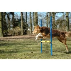 Dobar 3-teiliges Agility Sprung-Set,, Inkl. Tragetasche 9 Dobar 3-teiliges Agility Sprung-Set,, Inkl. Tragetasche -Zoofachgeschäft 23438a1c89953580debb447a4f2a6705cf109122 9daba483a29d35b05cf9df2cf0269c15e7db3ed2