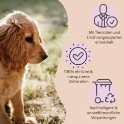 FAVLY Petfood PURE Bites Hirsch 360 G 9 FAVLY Petfood PURE Bites Hirsch 360 G -Zoofachgeschäft 236dbc85f5fb75ec5fb4367bde1445e3087ffdcd 1474003 de DE 80624b888460a5c29f043365a19496292e44fd84TlIvR8