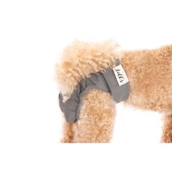 Lills Läufigkeitshöschen "Lou" Pink Berry Grau XXL 9 Lills Läufigkeitshöschen "Lou" Pink Berry Grau XXL -Zoofachgeschäft 2510182477e0473189522ab4c4eec9318a5ab186 1662393 de DE e81483ca839e45ba2b9fb54d71ddd02dbfa55b06LbZw0y