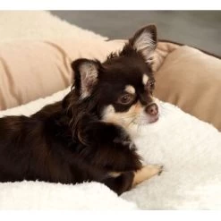 Lionto Selbstheizende Wärmematte Für Haustiere 12 Lionto Selbstheizende Wärmematte Für Haustiere -Zoofachgeschäft 25b3805c5c92af411e095cde5ee07481f4922ea8 1665986 de DE ecc5c0a091133bd2869f6e7bb4e1947e54345d34TGxGOo