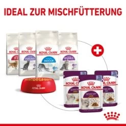 ROYAL CANIN SENSORY Smell In Gelee Für Wählerische Katzen 12x85g -Zoofachgeschäft 25c7f2b0017090b05172a164b94d24299f626039 5b9b3776479c43ed4449b8634046c65b7d96c1fe