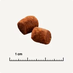 SELECT GOLD Indoor Adult Geflügel & Reis 7 Kg -Zoofachgeschäft 26d8ffb703c60b41462e69b68e028f8315fee50f 1243348 de DE 6