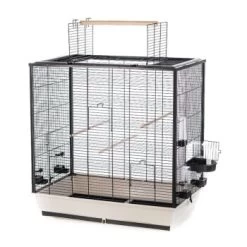 Interzoo Vogelkäfig Fiona -Zoofachgeschäft 270bf538e1354d7be12430d821ca4cb385533cee 67f89b09372bf74cf7ad6b811afeab9b854cb15d