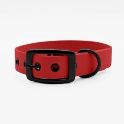 THE DOG IDEA Biothane Halsband Rot Schwarz XS -Zoofachgeschäft 294aea8de34124c1b1d09fb16f193430266979a3 1662798 de DE 8683a36368cc4e7b21c2e84b3a5c8e0e283b6526H9wQ7N