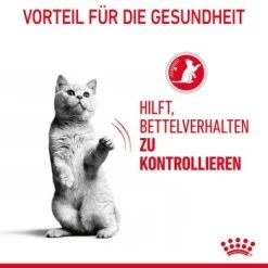 ROYAL CANIN Appetite Control Care 12 X 85 G -Zoofachgeschäft 2baff52405d772a15eb8921bf3aeded5540de702 1344684 1