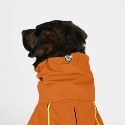 THE DOG IDEA Regenmantel Duke Orange XXXS -Zoofachgeschäft 2c464c8150423d80739b1409ce956e12c7928827 1473000 de DE 974a3540330c77e50b2a59dc10e705f1dbfc6716V9PfXa