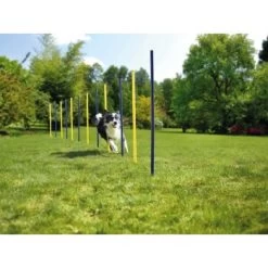AniOne Agility Slalomstangen -Zoofachgeschäft 2c588091cd7b1c91e348dc4b664d5ccf7b813b55 5b90fc3282e3f36a151043eb4999c7a431fb4558
