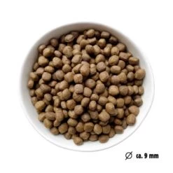 Eat Small EatSmall 3x2kg Trockenfutter Balance Mini -Zoofachgeschäft 2eb788cb18e36012b786ebcd36986af0d7384a67 1480035 de DE ef1a1257b12edf1ce0a516e027bab83024c70dae3oyC8T