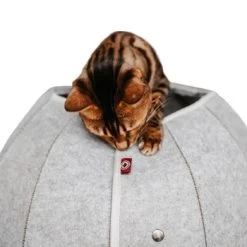 Canadian Cat Company Katzenhöhle In Kugelform S 13 Canadian Cat Company Katzenhöhle In Kugelform S -Zoofachgeschäft 2ecb868df2d3b2cf90a9092caebd3c19caa20008 1347679 de DE 9620a1f8944edc55aec2b992d490644e015c022abD41s1