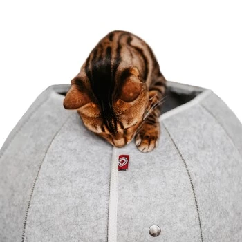 Canadian Cat Company Katzenhöhle In Kugelform S 6 Canadian Cat Company Katzenhöhle In Kugelform S – Bild 4