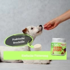 BeG Buddy Magen & Darm Tabletten Hund, Präbiotika Zur Darmsanierung, Verdauung, Durchfall, Blähungen -Zoofachgeschäft 2ee59556d151158db5ef45e3d72b0b05ead09e83 1653264 de DE 5f9a13f7e600f3a6caee76993e8feb989917b97ardnVVl
