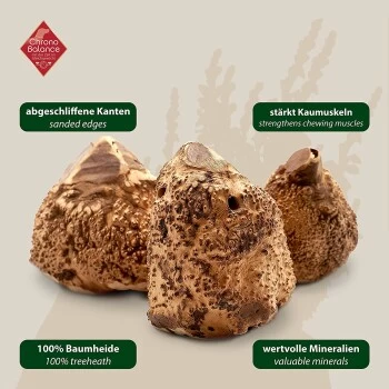 ChronoBalance Kauwurzel Baumheide (S) 2er Paket 8 ChronoBalance Kauwurzel Baumheide (S) 2er Paket – Bild 6