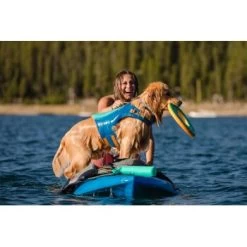 Ruffwear Hydro Plane™ Spielzeug L Blau/ Türkis 20 Ruffwear Hydro Plane™ Spielzeug L Blau/ Türkis -Zoofachgeschäft 3182973e4d2d3f04d1c88a483ada75b0da0b40b4 1364299 de DE 1b9b90a8c9802f9550dc8b34c08b951202478f9aXpyQQq