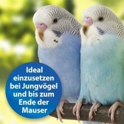 Quiko Plus 400 G: Extra Proteine Für Jungvögel -Zoofachgeschäft 3190f3828e35083694537fdd840250512177f97d 1386524 de DE a58e247c1fb3092732f92fc759d1dabd3a4811c5GIUhYl