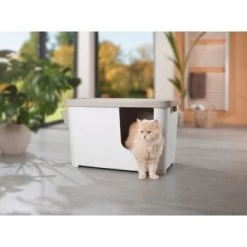 MORE FOR Katzentoilette XXL Titan -Zoofachgeschäft 331a65ecbdbda6a54304894f23caf93293414f9a 41a7dcb3b92b8da7531785b268f381c1b25bbf04