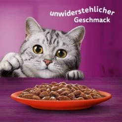 Whiskas Jumbo Pack 1+ Klassische Auswahl In Sauce 80 X 85g -Zoofachgeschäft 3358e429db606f0ebe5774678dd71494a01905e3 1410721 de DE Whiskas 6